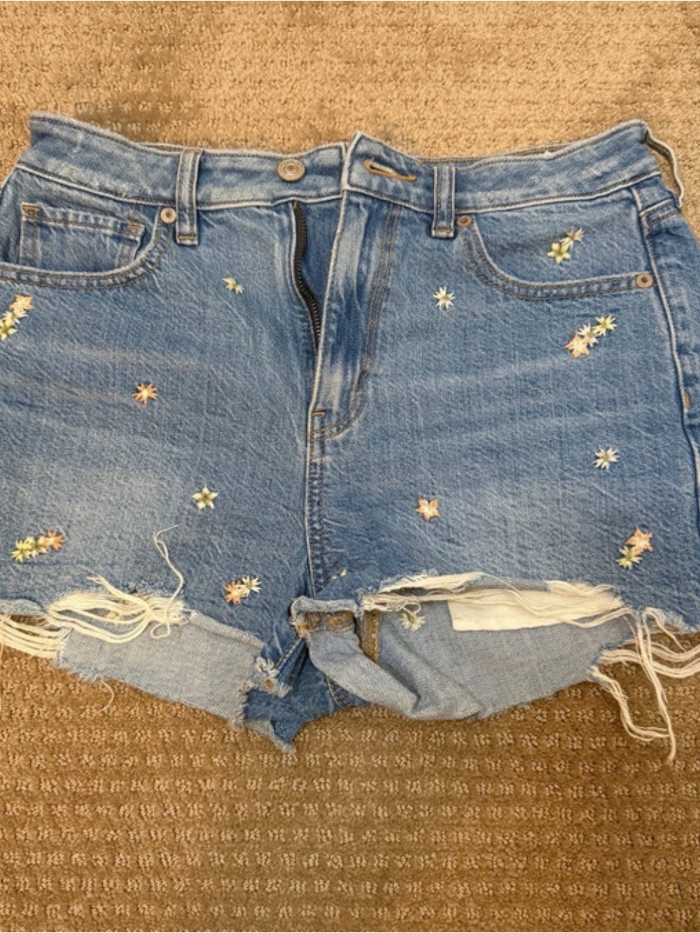 American Eagle Outfitters Light Blue Embroidered Denim Shorts